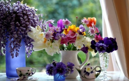 Florile si seminificatiile lor
