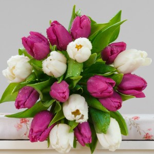Buchet-mixt-11-lalele-mov-si-7-lalele-albe-2